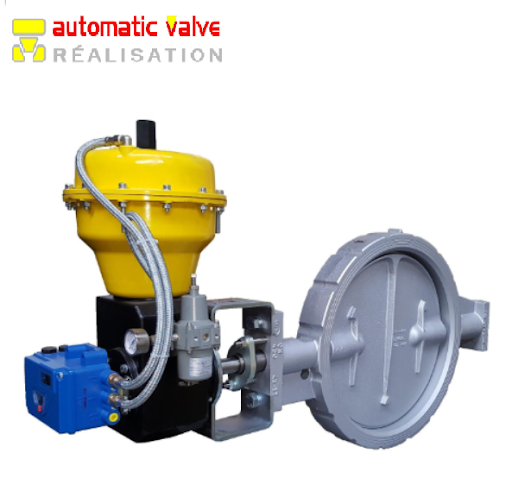 vps-34102-hf-dn250-np6-automatic-valve-vietnam.png