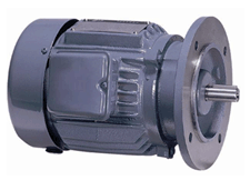 three-phase-totally-enclosed-fan-cooled-flange-type-higen-motor-vietnam.png